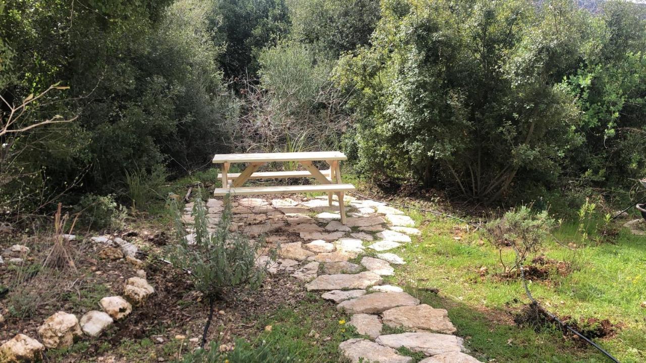 Appartement Engel -גליל עליון *